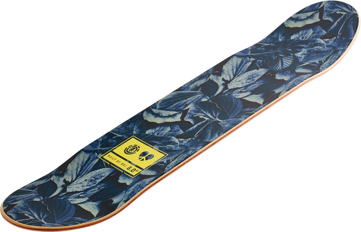 GRIFFIN X ELEMENT Skateboard Decks